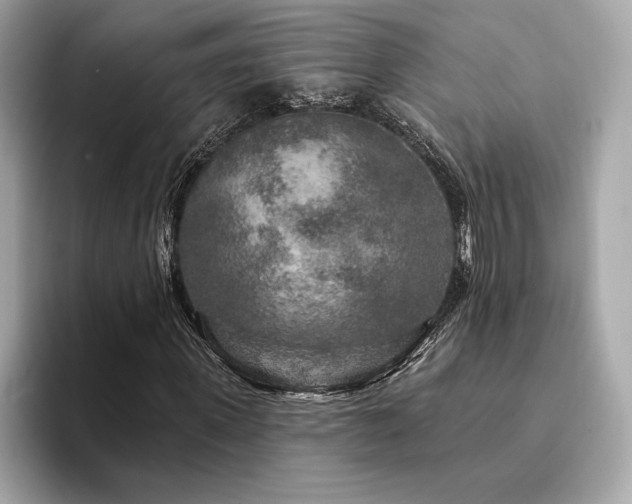 X0000094190915200710261128