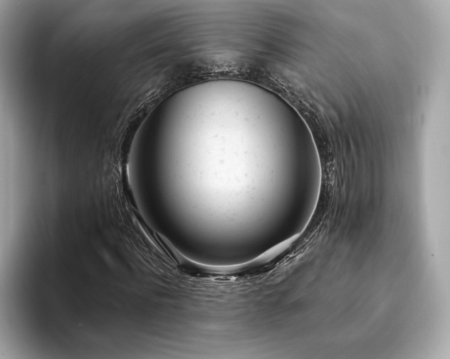 X0000094190916200710261128