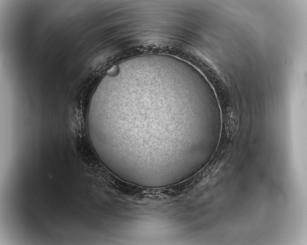X0000094190918200710261128