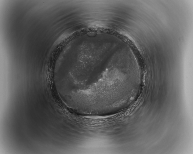 X0000094190919200710261128