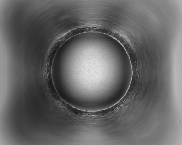 X0000094190920200710261128