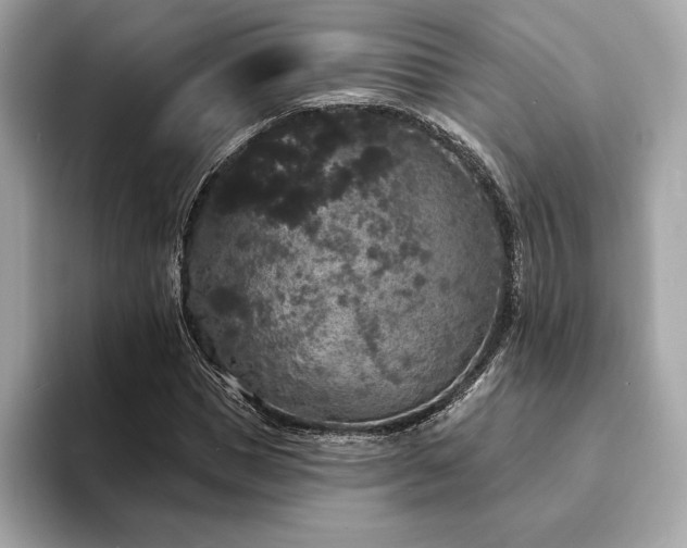 X0000094190921200710261128