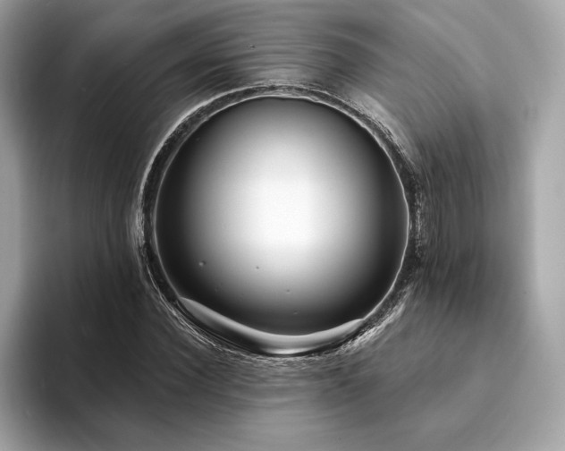X0000094190924200710261128