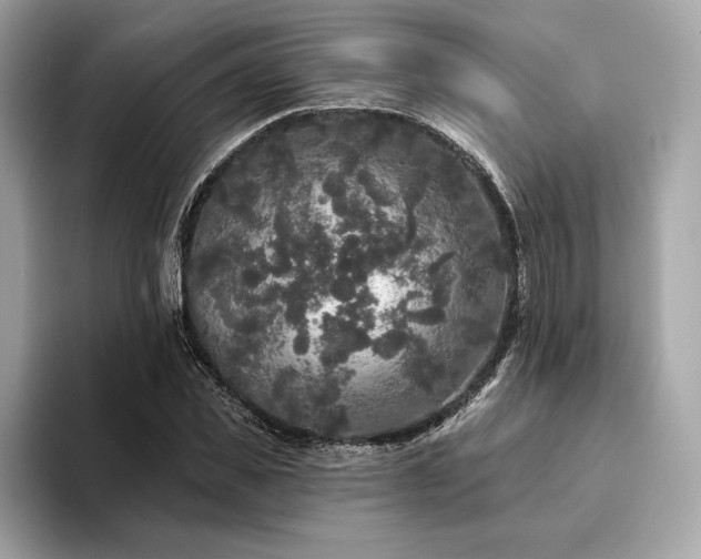 X0000094190925200710261128