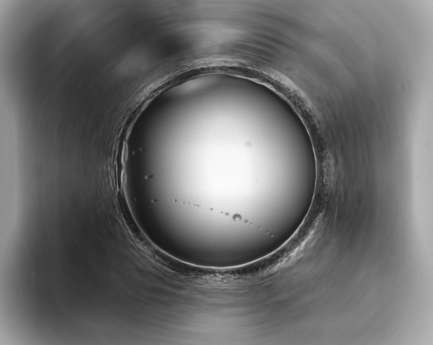 X0000094190929200710261128
