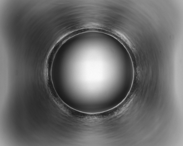 X0000094190931200710261128