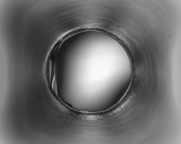 X0000094190934200710261128