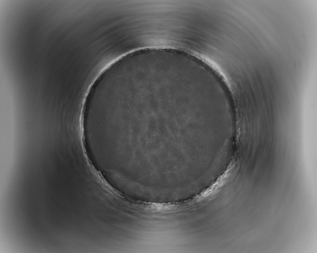 X0000094190935200710261128