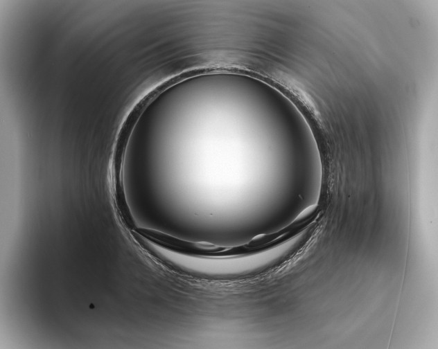 X0000094190936200710261128