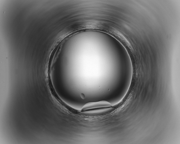 X0000094190938200710261129