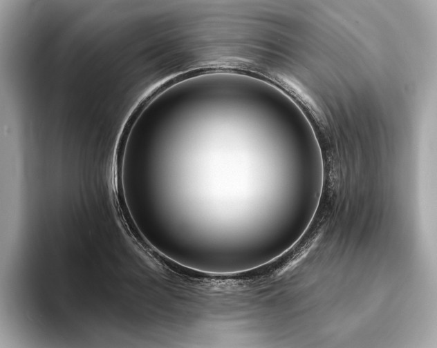 X0000094190940200710261129