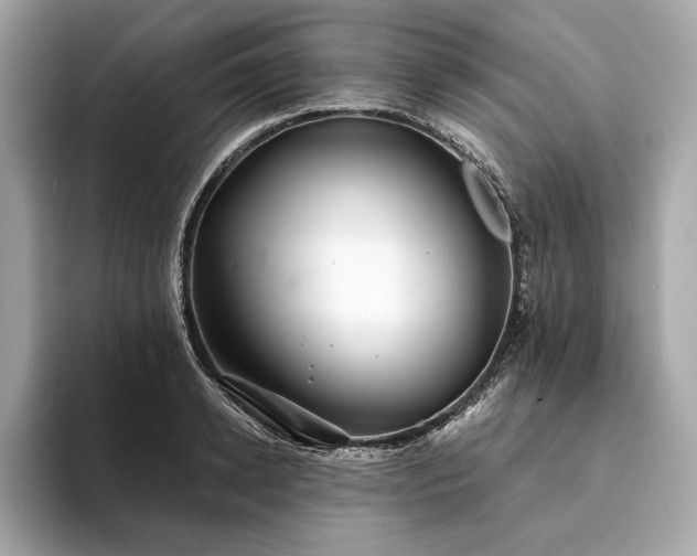 X0000094190942200710261129