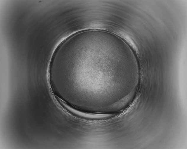 X0000094190944200710261129