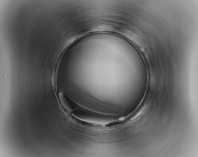 X0000094190945200710261129
