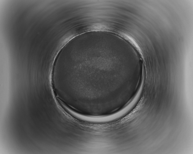 X0000094190946200710261129