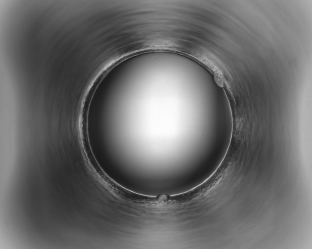 X0000094190947200710261129