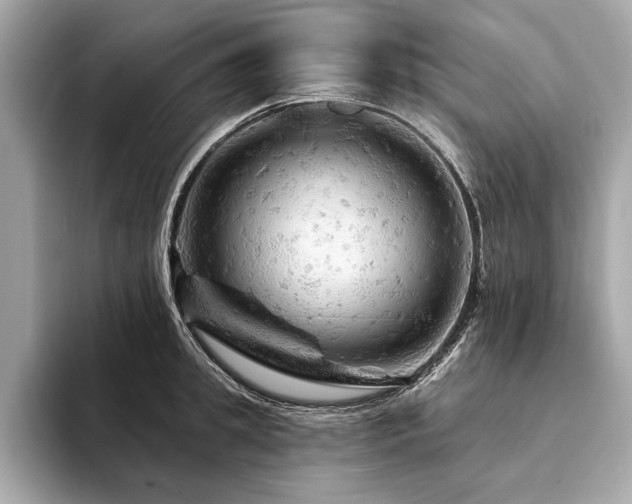 X0000094190949200710261129