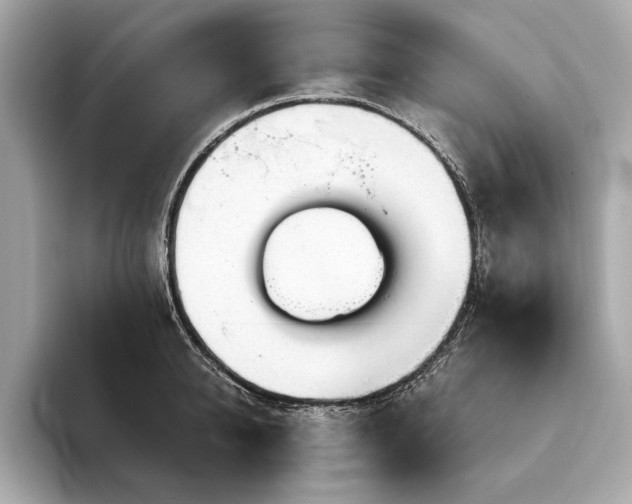 X0000094190950200710261129
