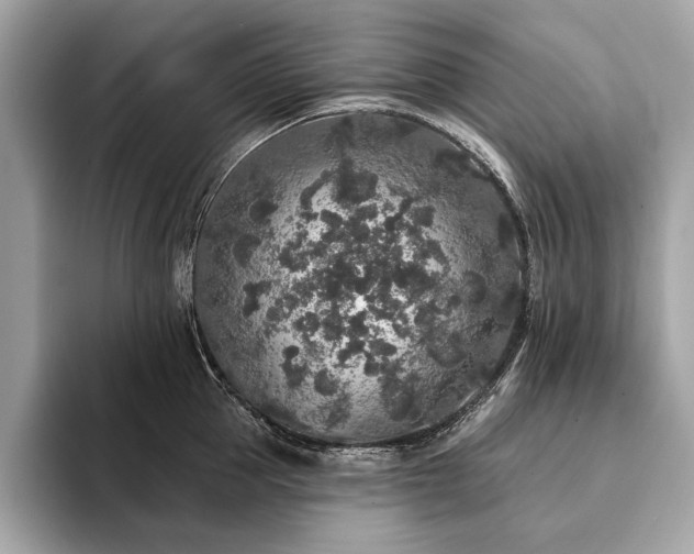 X0000094190953200710261129