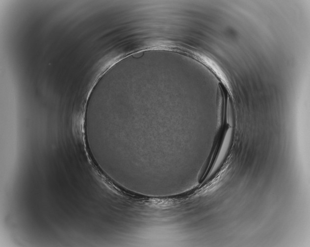 X0000094190954200710261129