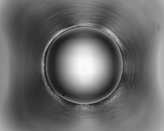 X0000094190955200710261129