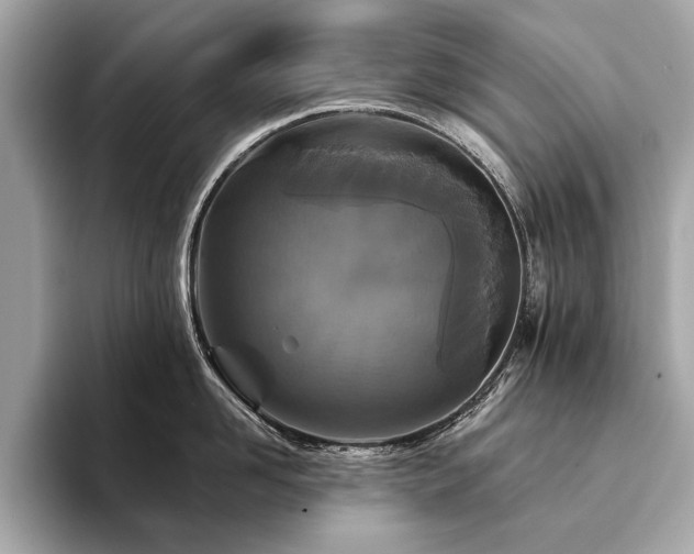 X0000094190958200710261129