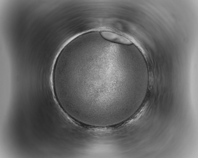 X0000094190959200710261129