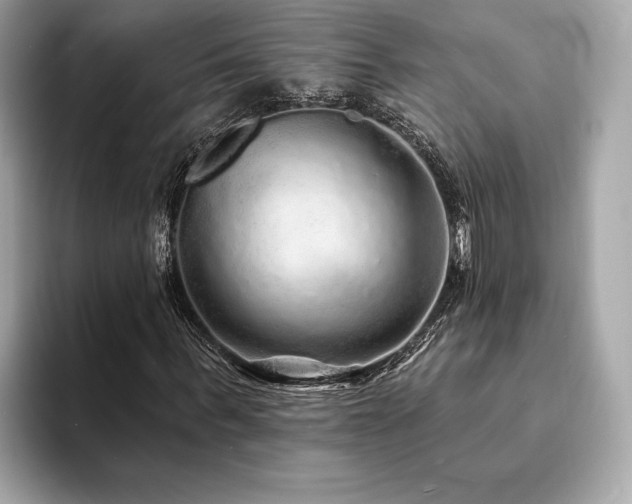 X0000094190963200710261128