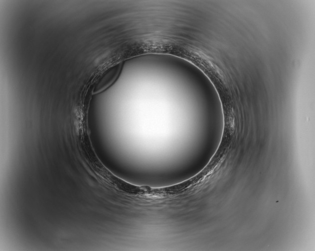 X0000094190964200710261128