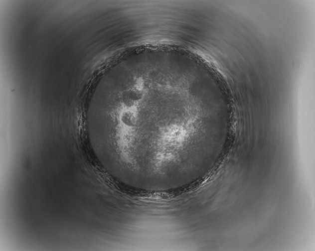 X0000094190966200710261128