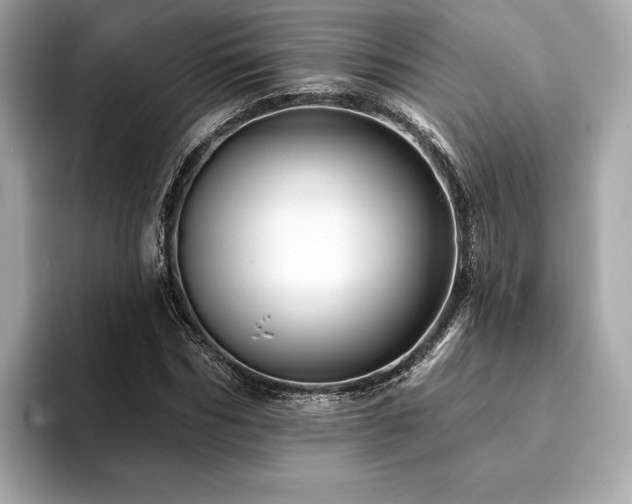 X0000094190970200710261128