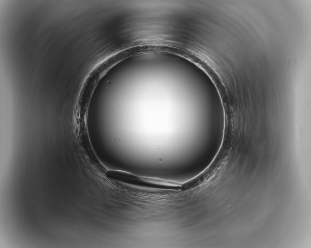 X0000094190971200710261128