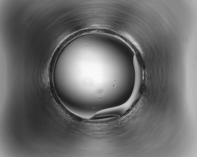 X0000094190972200710261128