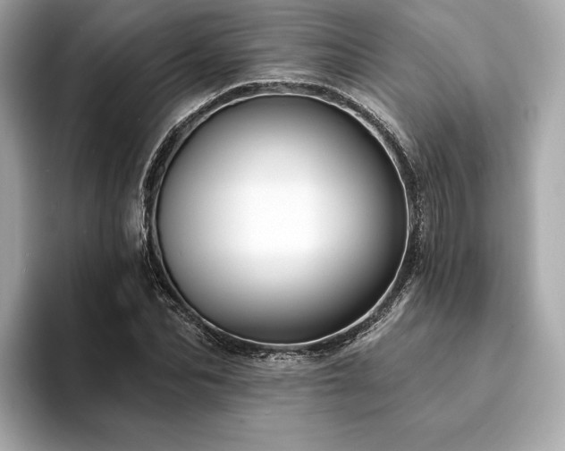 X0000094190974200710261128