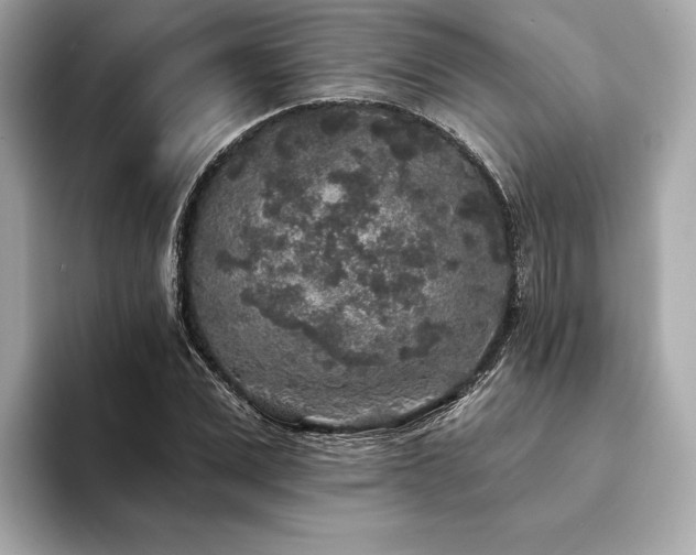 X0000094190975200710261128