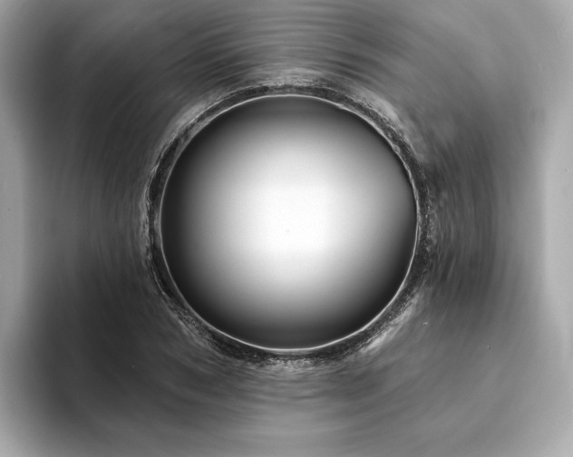 X0000094190978200710261128
