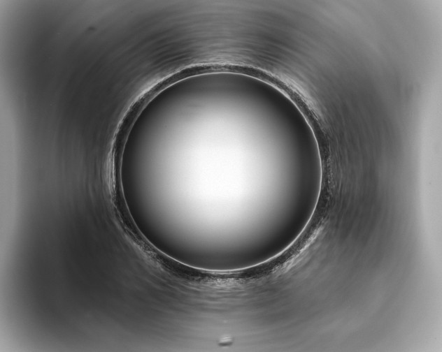 X0000094190982200710261128