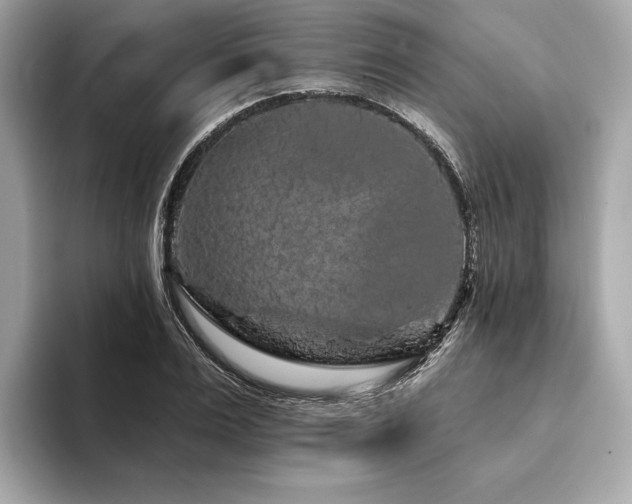 X0000094190983200710261128