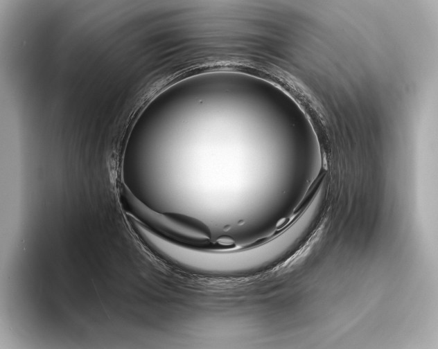 X0000094190985200710261128