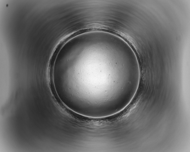 X0000094190987200710261128