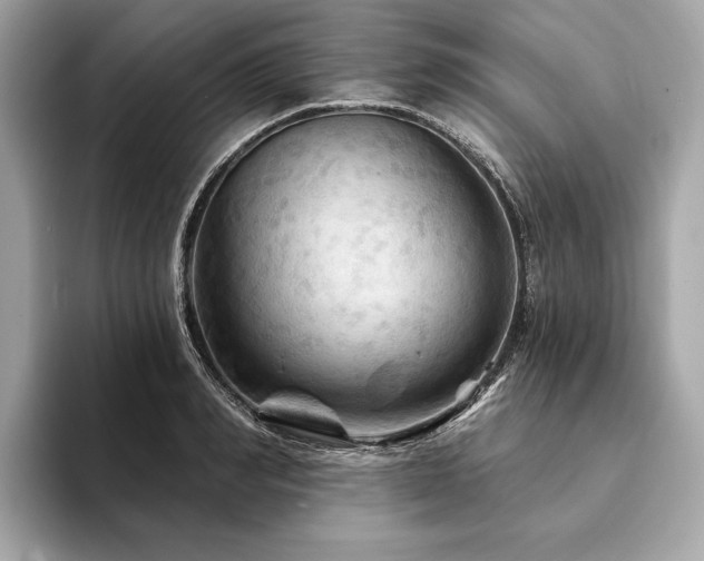 X0000094190990200710261128