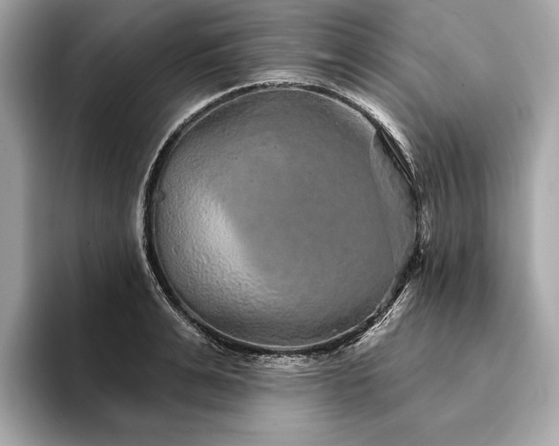 X0000094190991200710261128