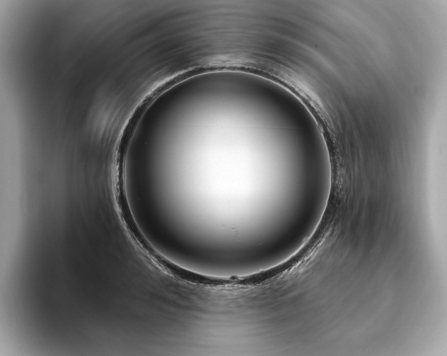 X0000094190992200710261128