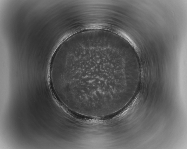 X0000094190994200710261128