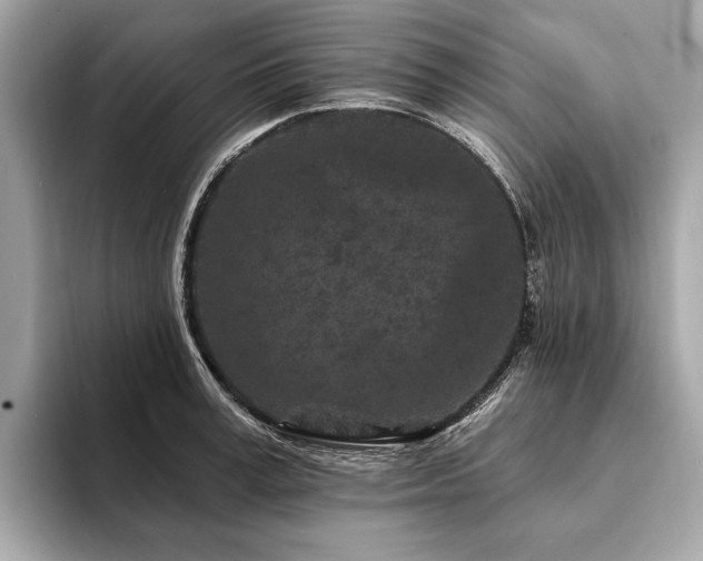 X0000094190995200710261128