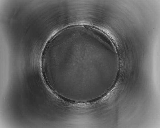 X0000094190998200710261128