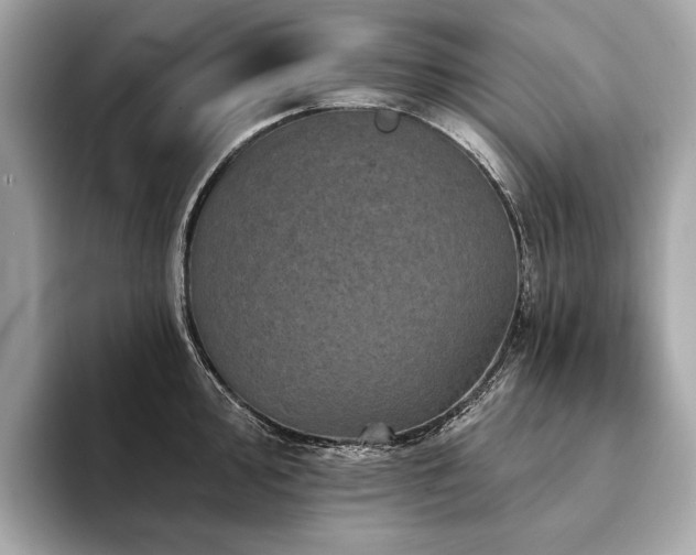 X0000094191000200710261128