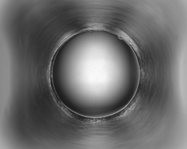X0000094191002200710261128