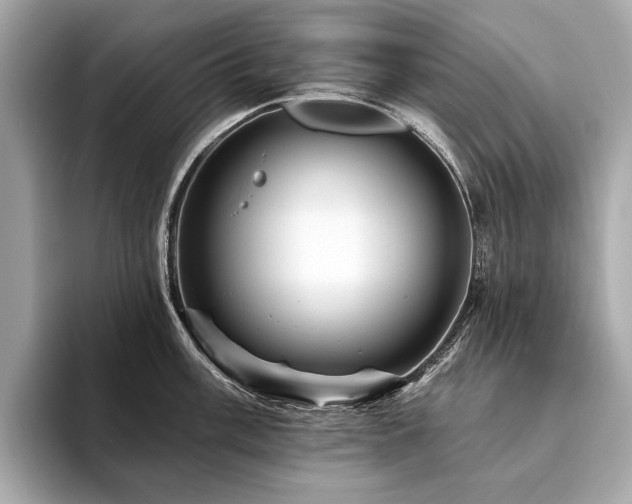 X0000094191003200710261128