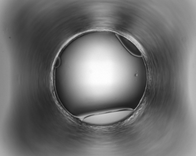 X0000094191004200710261128